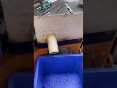 5 परतें शर्ट बटन 18L में शर्ट परिधान सहायक उपकरण पर उपयोग के साथ